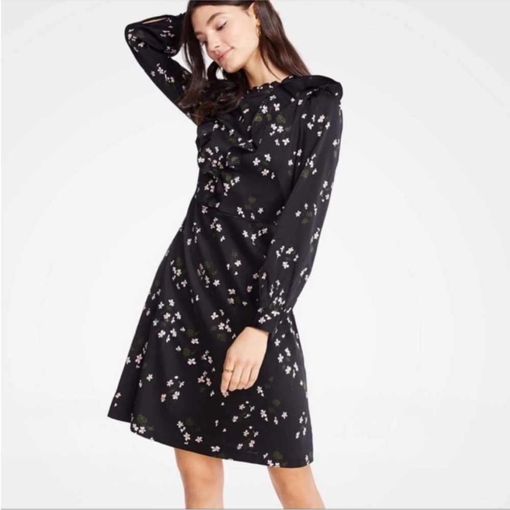 Ann‎ Taylor Floral Ruffle Mini Dress - Cottagecore Chic - 4